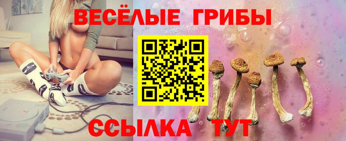 Галлюциногенные грибы MAGIC MUSHROOMS  Вход с VPN  Курск 