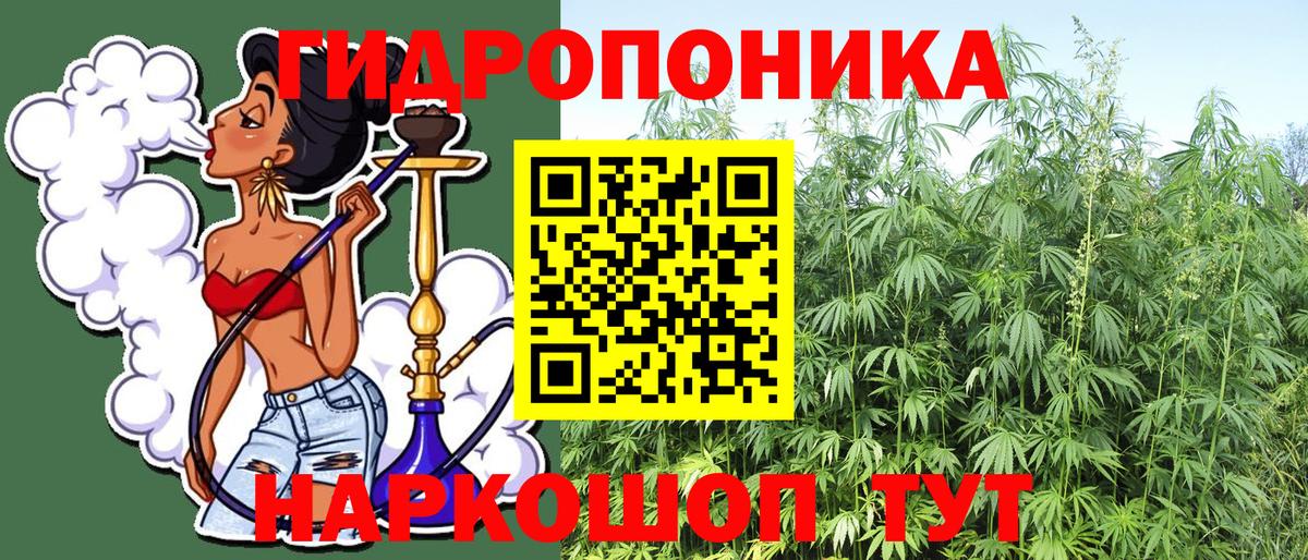Канабис марихуана  Шишки марихуана AK-47  Курск  Каннабис ГИДРОПОН  Конопля семена  Вход с VPN 